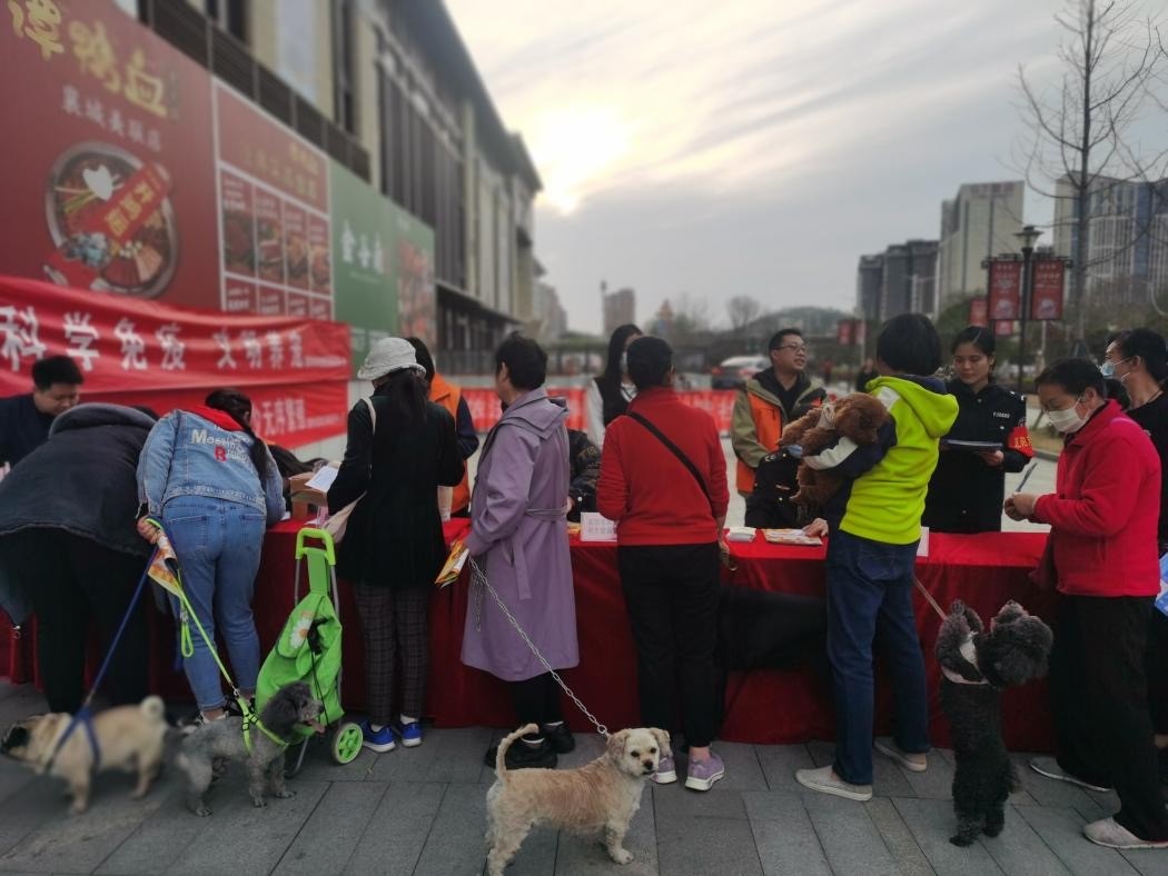 襄城区365app下载登录_be365体育平台app_旧版彩票365下载走进社区开展文明养犬活动